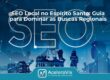 SEO Local no Espírito Santo: Guia para Dominar as Buscas Regionais